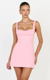 Zaria Mini Dress - Panel Dress in Pink