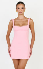 Zaria Mini Dress - Panel Dress in Pink