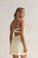 Songs Written Mesh Mini Dress Yellow