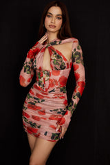 Rose Print Corset Mini Dress